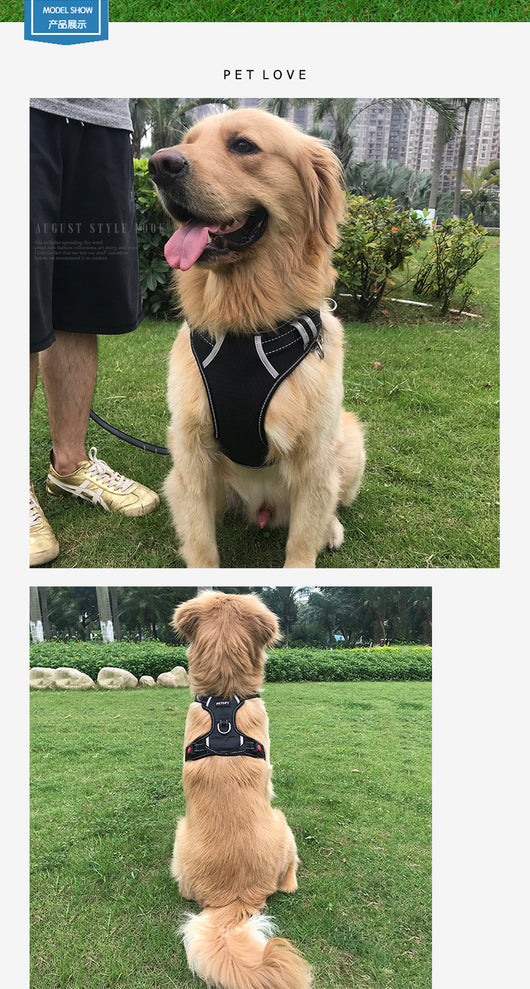 Arnés Chaleco para Perros Medianos y Grandes - Image 12