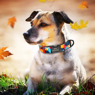 Collar para perro con letras personalizadas - Image 9