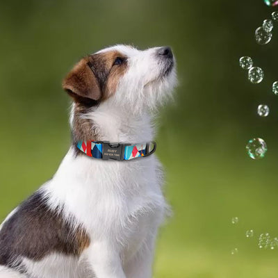 Collar para perro con letras personalizadas - Image 14