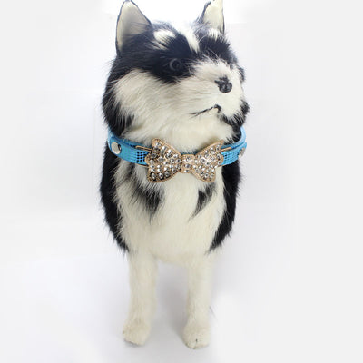 Collar para Perro con Pedrería Brillante - Image 3