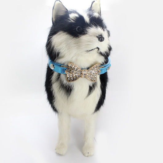 Collar para Perro con Pedrería Brillante - Image 3
