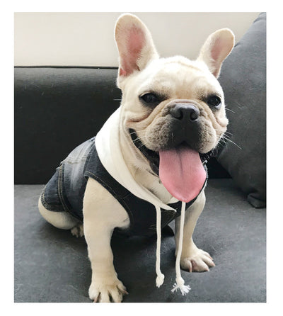 Chaleco Denim Lavado Teddy - Image 9