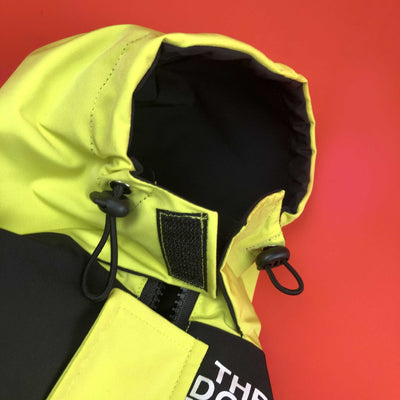 Ropa de Abrigo para Mascotas - Otoño e Invierno - Image 6