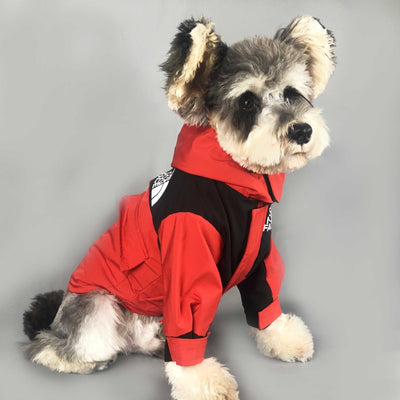 Ropa de Abrigo para Mascotas - Otoño e Invierno - Image 7