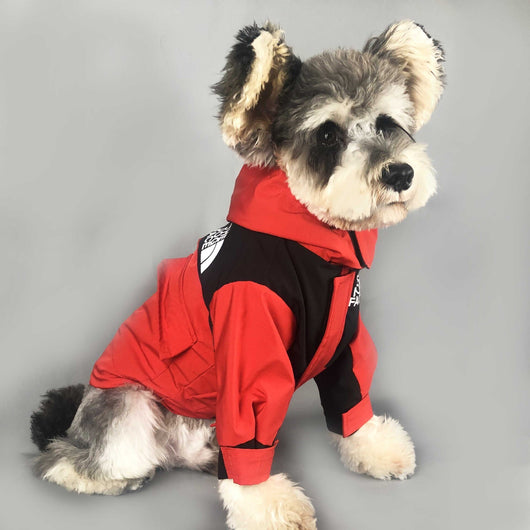 Ropa de Abrigo para Mascotas - Otoño e Invierno - Image 7