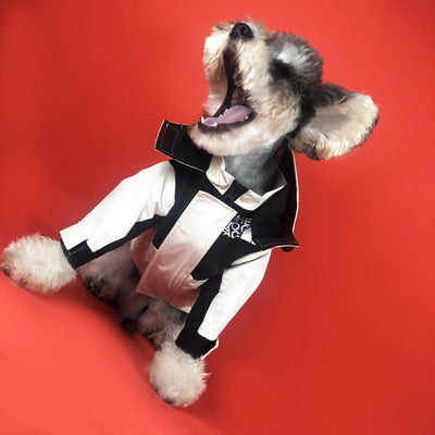 Ropa de Abrigo para Mascotas - Otoño e Invierno - Image 8