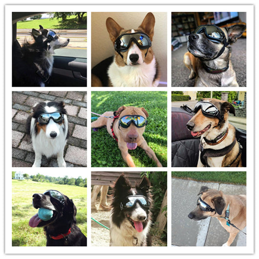 Gafas de Sol Protectoras para Perros - Impermeables y Anti-UV - Image 11