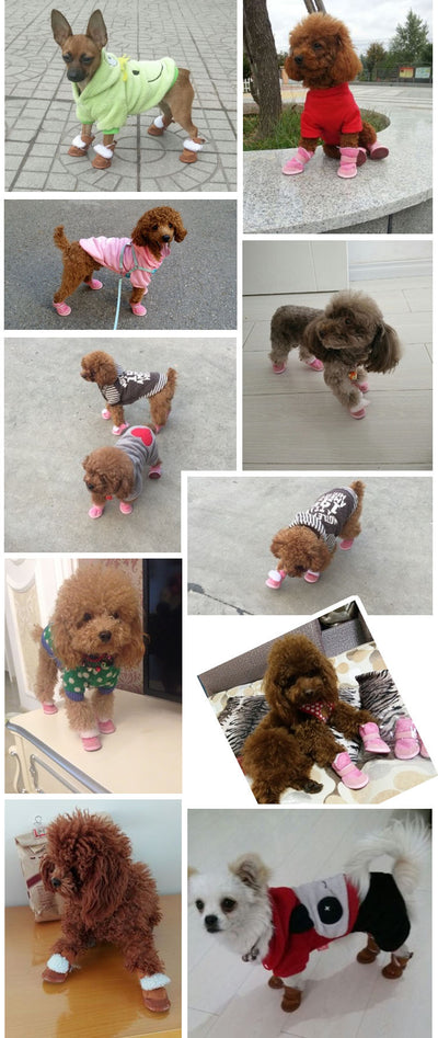 Botas de Nieve para Perros Teddy - Image 9