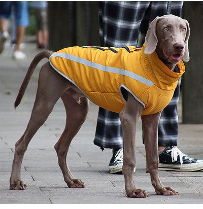 Abrigo Impermeable para Perros - Chaqueta Térmica Resistente al Viento - Image 15