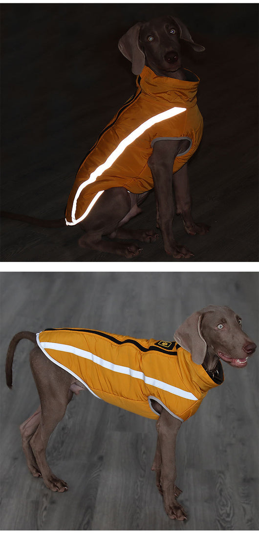 Abrigo Impermeable para Perros - Chaqueta Térmica Resistente al Viento - Image 16