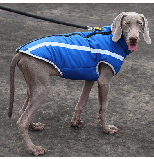 Abrigo Impermeable para Perros - Chaqueta Térmica Resistente al Viento - Image 19