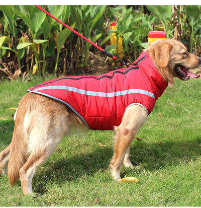 Abrigo Impermeable para Perros - Chaqueta Térmica Resistente al Viento - Image 20