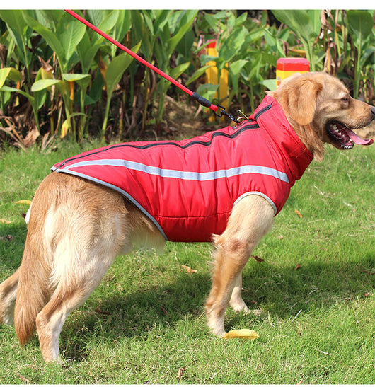 Abrigo Impermeable para Perros - Chaqueta Térmica Resistente al Viento - Image 20