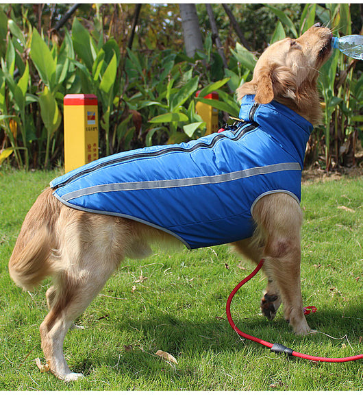 Abrigo Impermeable para Perros - Chaqueta Térmica Resistente al Viento - Image 22