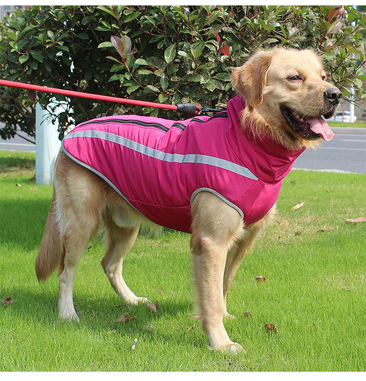 Abrigo Impermeable para Perros - Chaqueta Térmica Resistente al Viento - Image 23