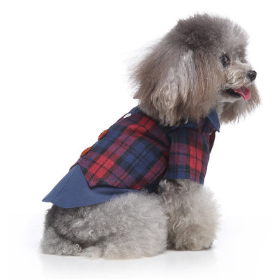 Conjunto de Ropa para Perros - Traje Completo de Moda - Image 4