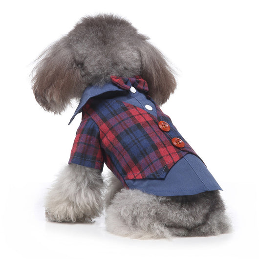 Conjunto de Ropa para Perros - Traje Completo de Moda - Image 6