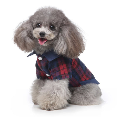 Conjunto de Ropa para Perros - Traje Completo de Moda - Image 8