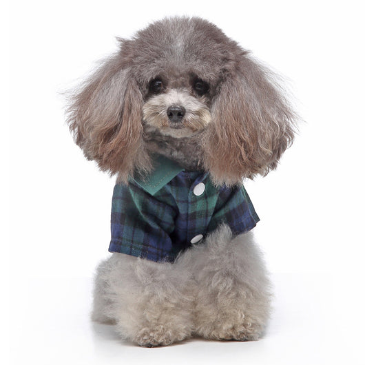 Conjunto de Ropa para Perros - Traje Completo de Moda - Image 10