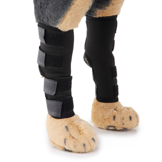 Soporte Ortopédico para Pata de Perro - Image 6