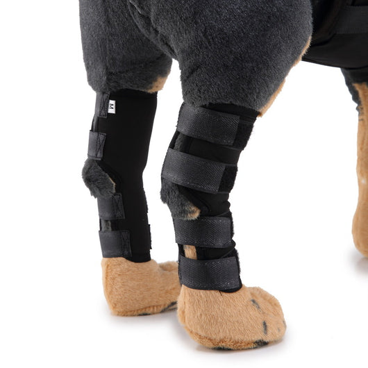 Soporte Ortopédico para Pata de Perro - Image 7