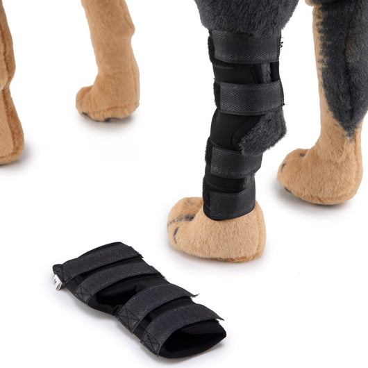 Soporte Ortopédico para Pata de Perro - Image 8