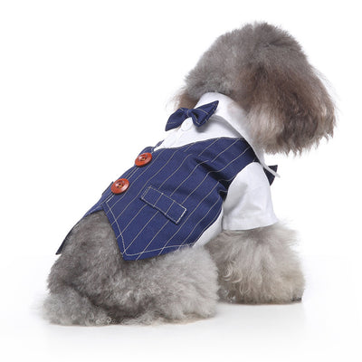 Conjunto de Ropa para Perros - Traje Completo de Moda - Image 17