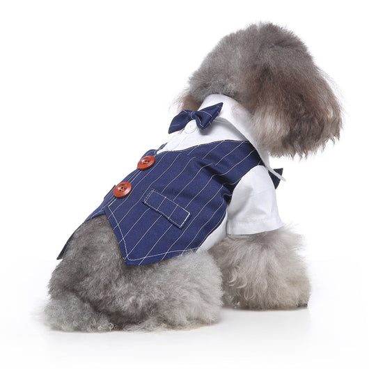 Conjunto de Ropa para Perros - Traje Completo de Moda - Image 17