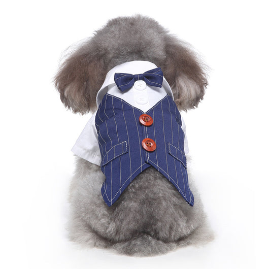 Conjunto de Ropa para Perros - Traje Completo de Moda - Image 18