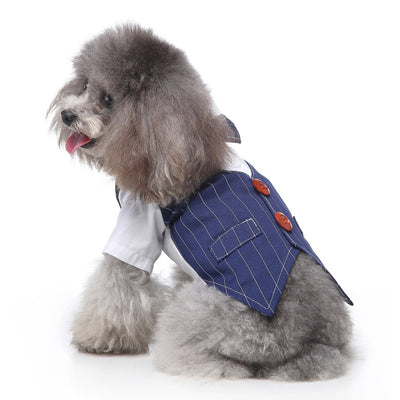 Conjunto de Ropa para Perros - Traje Completo de Moda - Image 19
