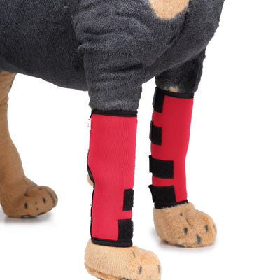 Soporte Ortopédico para Pata de Perro - Image 14
