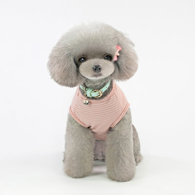 Ropa Transpirable y Cómoda para Gatos y Perros - Image 12