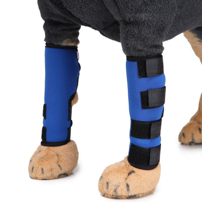 Soporte Ortopédico para Pata de Perro - Image 18