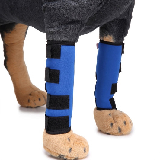 Soporte Ortopédico para Pata de Perro - Image 19