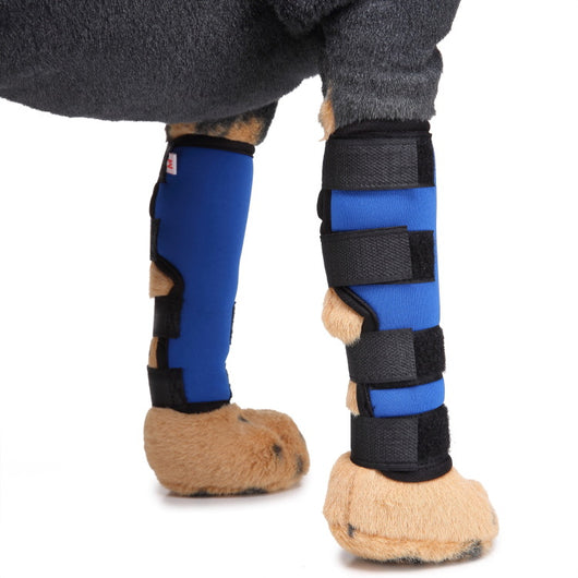 Soporte Ortopédico para Pata de Perro - Image 20