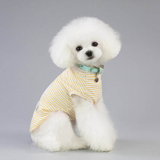 Ropa Transpirable y Cómoda para Gatos y Perros - Image 15
