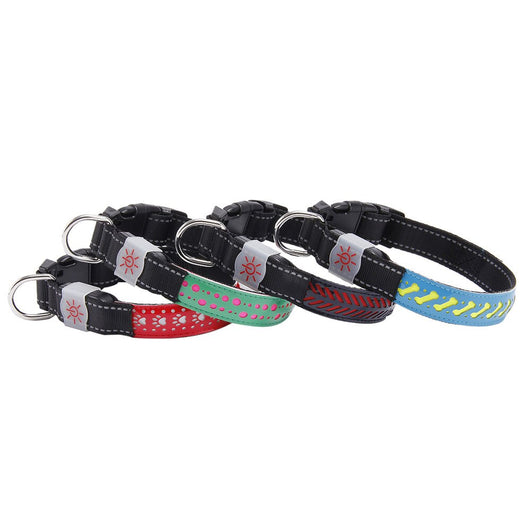 Collar LED Luminoso para Mascotas - Image 9