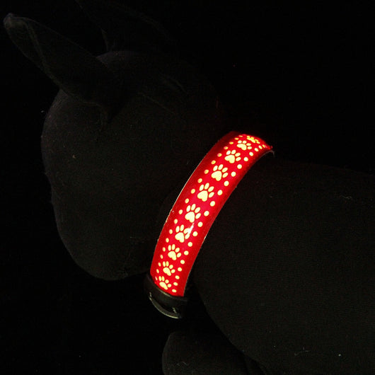 Collar LED Luminoso para Mascotas - Image 12