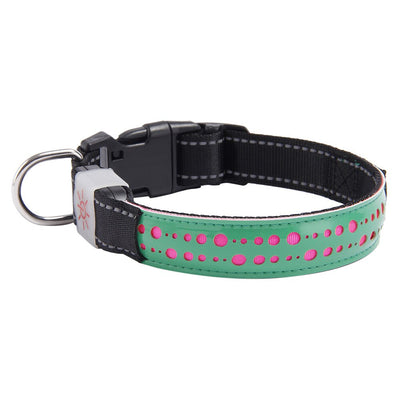 Collar LED Luminoso para Mascotas - Image 16