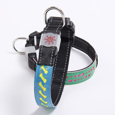 Collar LED Luminoso para Mascotas - Image 17