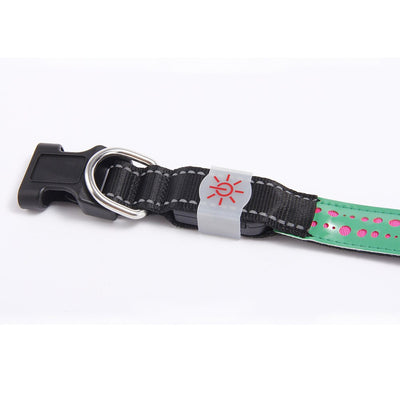 Collar LED Luminoso para Mascotas - Image 18