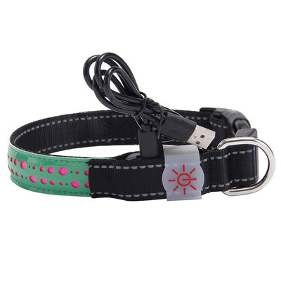 Collar LED Luminoso para Mascotas - Image 19