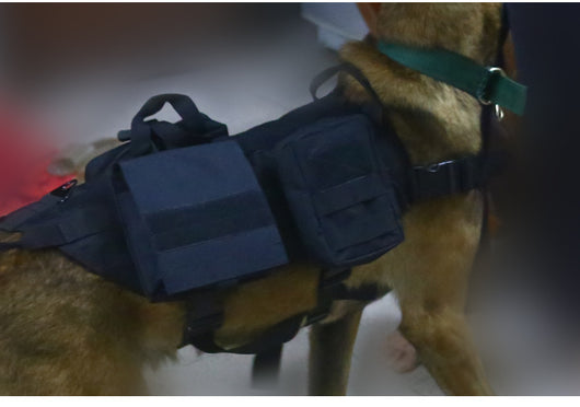 Ropa Táctica Militar para Perros - Image 12