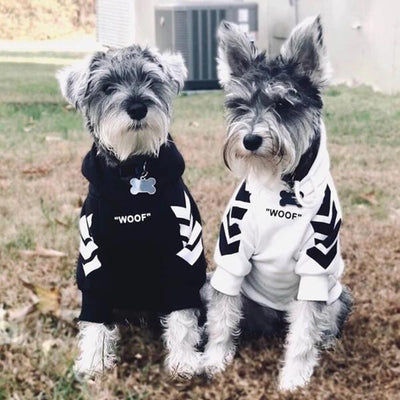 Abrigo de invierno para perros con capucha - Image 10