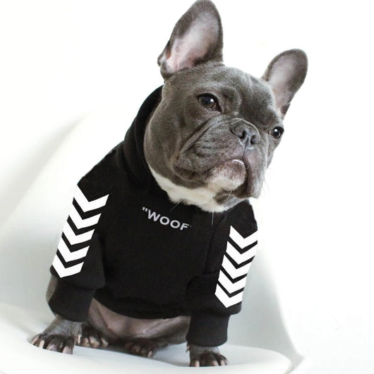 Abrigo de invierno para perros con capucha - Image 11