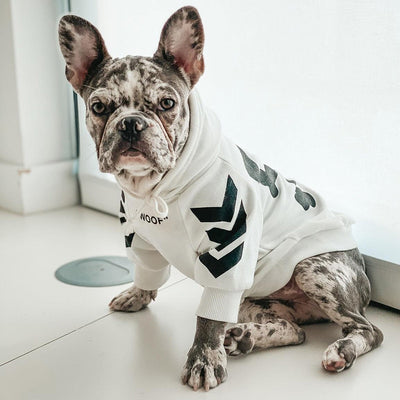 Abrigo de invierno para perros con capucha - Image 12