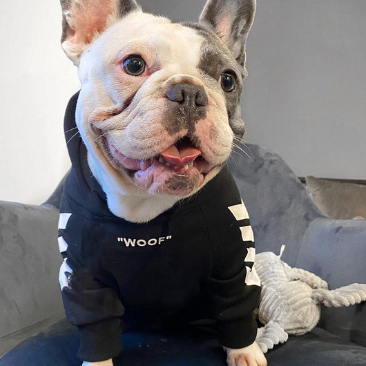 Abrigo de invierno para perros con capucha - Image 17
