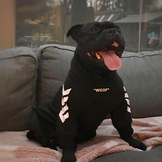 Abrigo de invierno para perros con capucha - Image 18