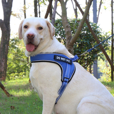 Arnés Transpirable para Perro con Tira Reflectante y Hebilla de Metal - Image 18
