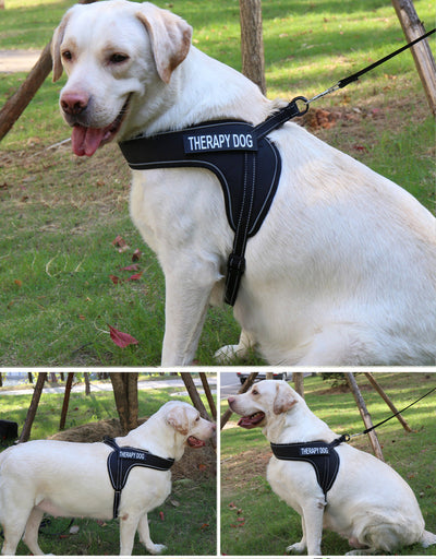 Arnés Transpirable para Perro con Tira Reflectante y Hebilla de Metal - Image 19